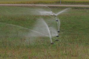 IMG_0356a-1