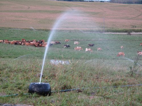 Pasture irrigation